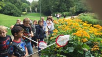 2. Vest fanger insekter