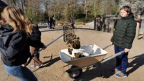 På hårdt arbejde i ZOO
