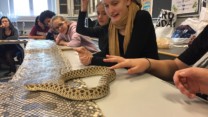 Kryb og spændende fortællinger