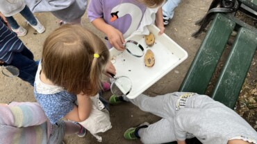 1.nord tjekker deres kartoffelfælder, som er fyldt med bænkebidere.